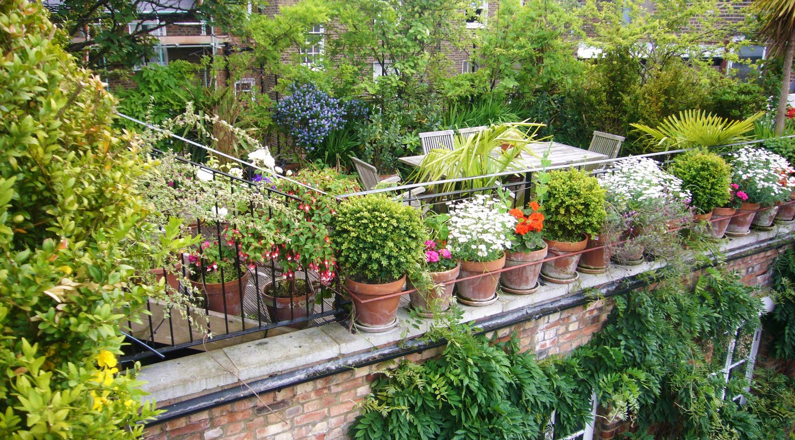 City apartment patio: balcony vegetable garden ideas. amazing ...