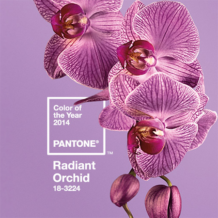 Radiant Orchid - Pantone Χρώμα της χρονιάς για το 2014