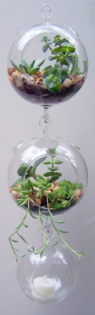 έργα δημιουργικής κηπουρικής8